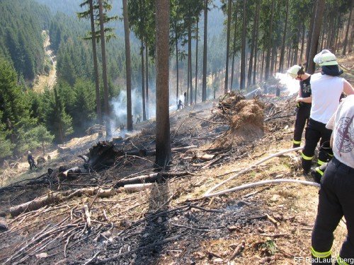 2009_04_10 Waldbrand Sieber 008
